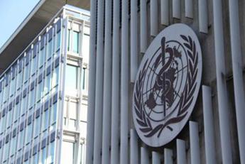 Aviaria, Oms: “Virus preoccupa, altamente pericoloso per l’uomo”