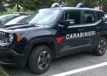 Controlli nei minimarket, mancata applicazione del piano HACCP e carenza di igiene