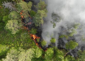 Prevenzione incendi boschivi, firmata ordinanza