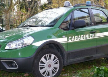 Ambiente: sequestrata discarica abusiva, una denuncia