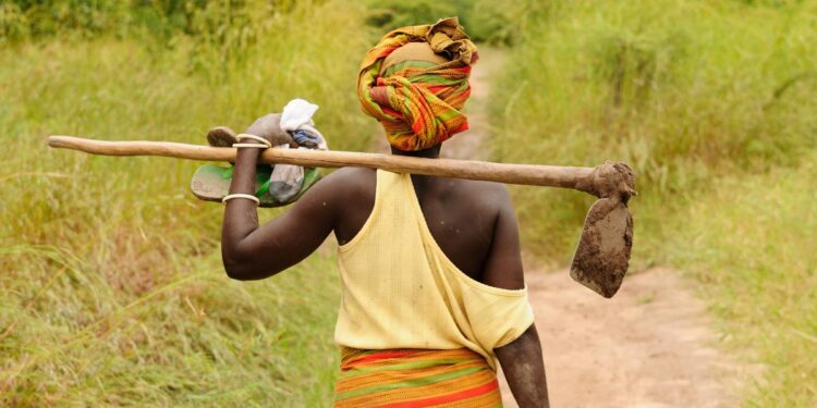 Caporalato: inaugurato a Latina sportello itinerante rivolto a migranti e lavoratori vittime di sfruttamento in agricoltura