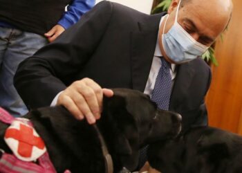 Giornata nazionale del Cane Guida: Zingaretti incontra l’Unione Italiana dei Ciechi e Ipovedenti