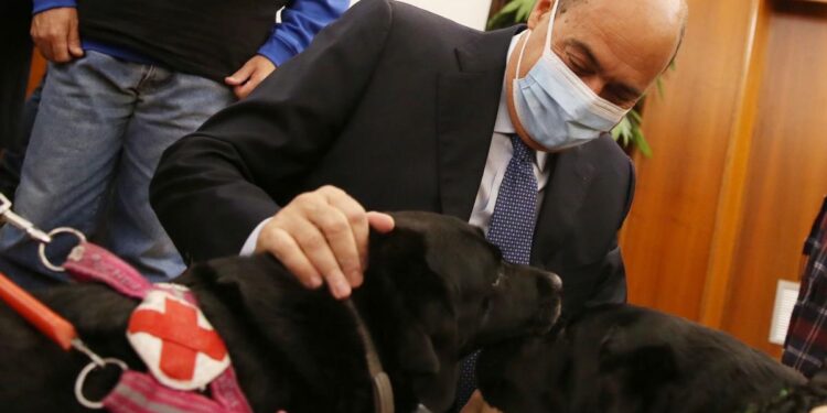 Giornata nazionale del Cane Guida: Zingaretti incontra l’Unione Italiana dei Ciechi e Ipovedenti