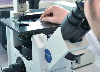 Doppia vita dei farmaci anti-colesterolo: le statine ‘affamano’ le cellule del cancro