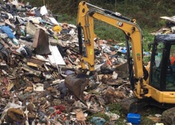 Tevere: avviati interventi di bonifica sulle aree fluviali di Roma