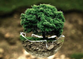 Ambiente: tre mln per il secondo avviso del progetto ‘Ossigeno’