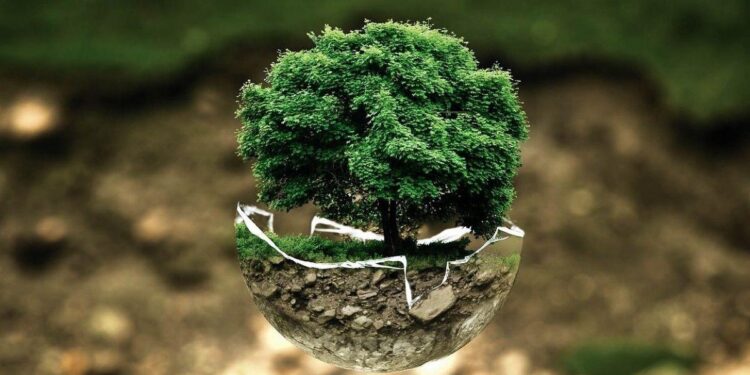 Ambiente: tre mln per il secondo avviso del progetto ‘Ossigeno’