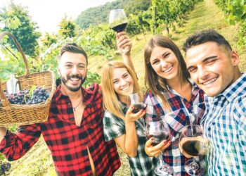 Agricoltura: presentati i risultati del Programma di Sviluppo Rurale. Un miliardo e 105 milioni di euro per la nostra agricoltura