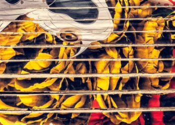 Lazio Street Art: 9 progetti per dare un volto nuovo a strade e piazze