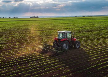Agricoltura: ulteriori 282 milioni per 2021-2022 del programma di sviluppo rurale del Lazio