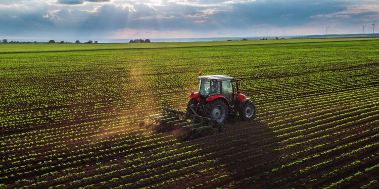 Agricoltura: ulteriori 282 milioni per 2021-2022 del programma di sviluppo rurale del Lazio
