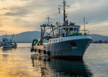 Pesca: quasi 3 mln euro per imprese Lazio nel 2021