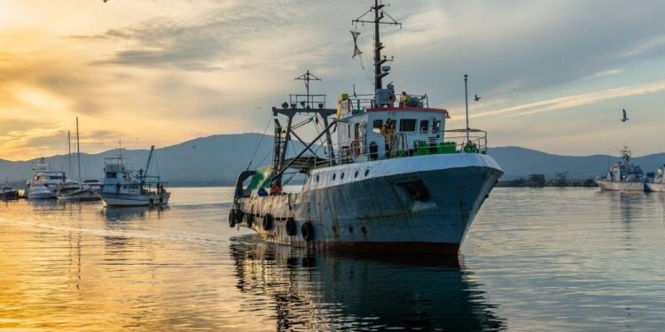 Pesca: quasi 3 mln euro per imprese Lazio nel 2021