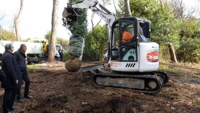 Mille alberi per Monte Antenne, al via piano di riforestazione urbana