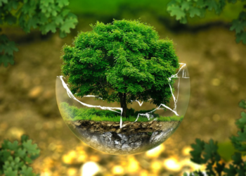 Rinnovabili: ok a linee guida su aree non idonee