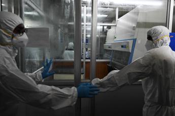 Vaiolo delle scimmie, ecco come conoscerlo: sintomi, contagio, cure e vaccino