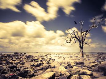 Clima, nel 2022 in Europa caldo estremo e siccità diffusa