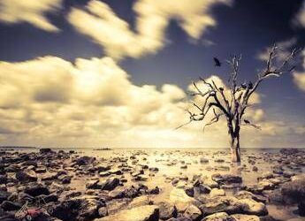 Clima, soffre di ‘ecoansia’ il 67% dei giovani nel mondo