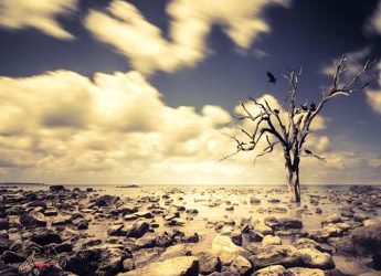 Preoccupazioni per l’ambiente, in testa i cambiamenti climatici