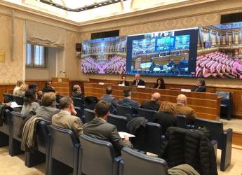 Pnrr, Caprioli (Igibd): “Occasione unica per vera infrastruttura digitale in sanità”