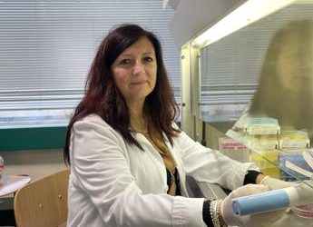 Glioblastoma, Neuromed studia Ginko biloba per potenziare chemioterapici