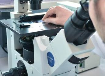 Novità per emofilia, linfoma, mieloma ed emoglobinuria