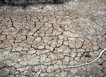 Caldo, climatologo: “Con riscaldamento globale rischio ondate più frequenti e forti”