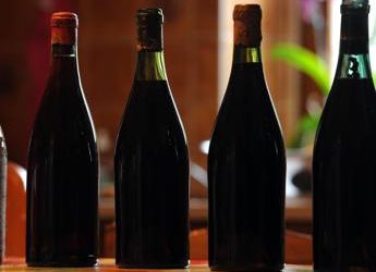 Sima, ‘attacco a vino non ha nulla di scientifico, numeri smentiscono allarmi’