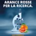 Le arance rosse della salute in 9mila supermercati per la ricerca contro i tumori