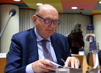 Orsa Amarena, Pichetto: “Uccisione episodio grave, fare chiarezza”