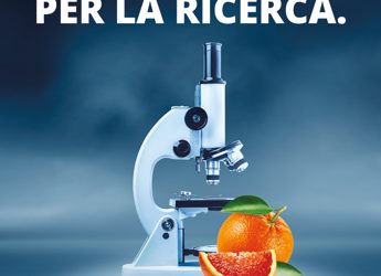 World cancer day, in 9mila supermercati le arance Airc per la ricerca