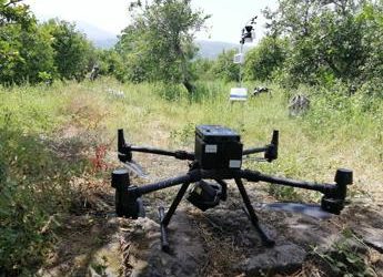 Agricoltura, Distretto produttivo agrumi di Sicilia: progetti aperti agli attori del territorio