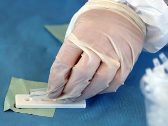 Covid, Bassetti: “Variante Arturo? Tema da social e bar”