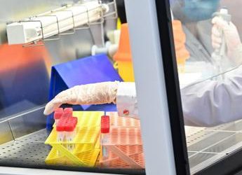 Covid, Oms: nel mondo -76% contagi e -66% morti in 1 mese