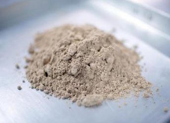 Dietologo Mocini: “No pregiudizi su farine insetti, mixare tradizione e innovazioni”