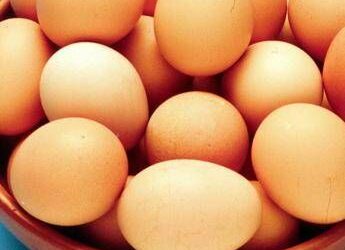 Sos uova in Usa per aviaria, l’esperto: “Esistono alternative per compensare”