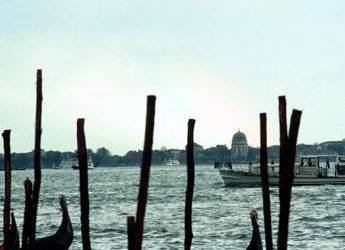 Botrillo, da invertebrato di laguna speranze contro Alzheimer e Parkinson