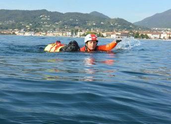 Estate, Sics: 300 cani salvataggio ponti a salvare vite a mare e laghi, venerdì giornata mondiale