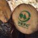 Pefc Italia, 71mila tonnellate di CO2 assorbita da foreste certificate