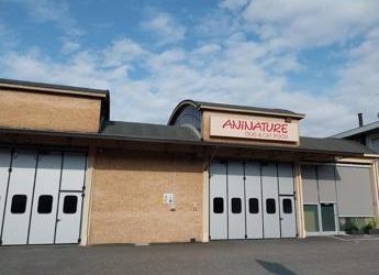 Aninature, cercasi nuovi incaricati alla vendita diretta nel settore pet food