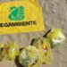 Beach Litter 2023, 961 rifiuti ogni 100 metri di spiaggia