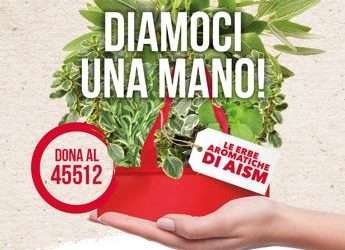 Sclerosi multipla, nel weekend in piazza le ‘Erbe aromatiche’ Aism