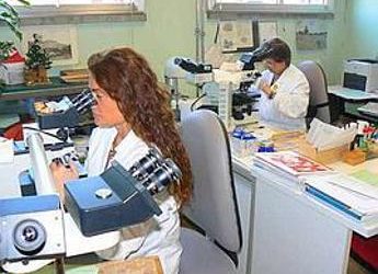 Ricerca: nuova tecnica per diagnosi celiachia ‘nascosta’, studio Napoli