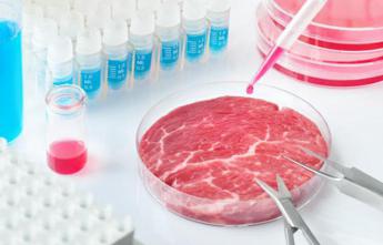 Alimenti, in Svizzera prima richiesta per bistecca di manzo coltivata