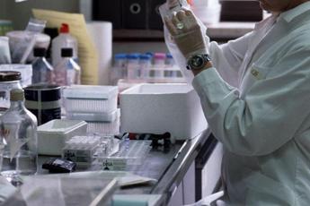 Ricerca: verso cura italiana contro morbo mucca pazza e altre malattie da prioni