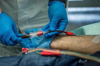 Cidp, ‘in Italia manca plasma, a rischio pazienti bisognosi di cure salvavita’