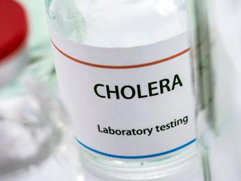 Colera, Oms: “Casi in 25 Paesi, rischio globale molto alto”