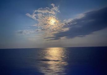 Estate 2023, biologo: “Occhio a 4 pesci ‘alieni’ temibili”