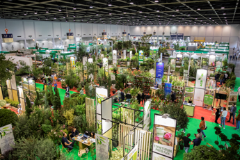 Fiere, tra arte dei bonsai e trinciaerba robotizzata 200 espositori a Flormart