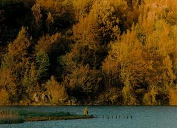 ‘Scatta il bosco Pefc’, un contest per le foto delle foreste d’Italia